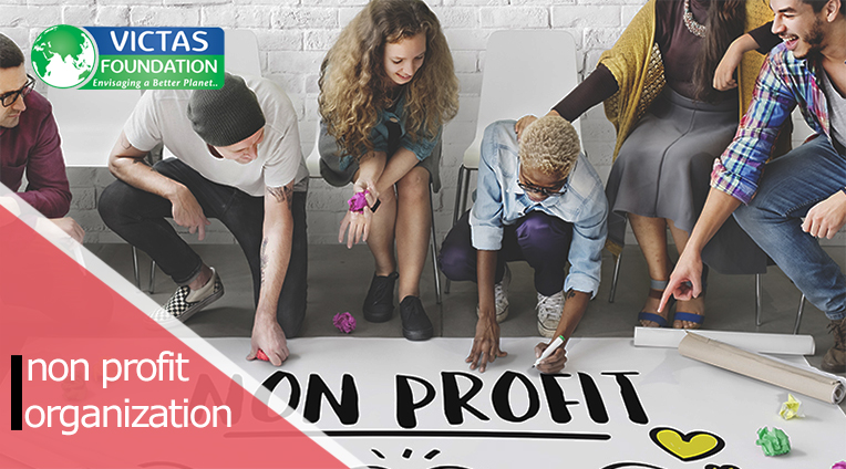 non profit organization , nonprofit donors