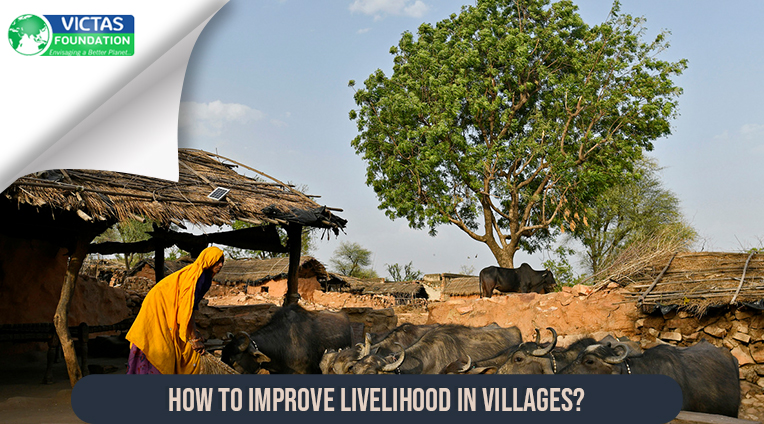 smart village scheme